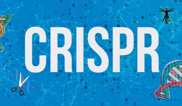 CRISPR: A Powerful Tool at a Crossroads