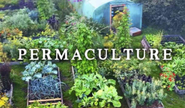 Best Practices in Sustainability - Permaculture