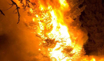 Nainital Battling Massive Forest Fires: Army Deployed, Aerial Inspection by CM Dhami