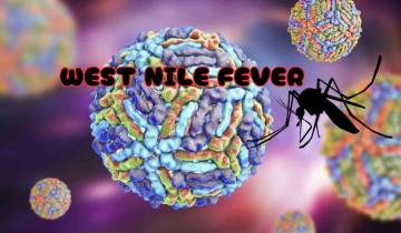West Nile fever case detected in Kerala: All you need to know