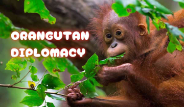 "Orangutan Diplomacy": Malaysia's Palm Oil Sales Pitch