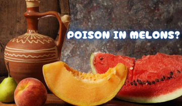 Watermelon and Muskmelon could pose food poisoning risk- Find out why!