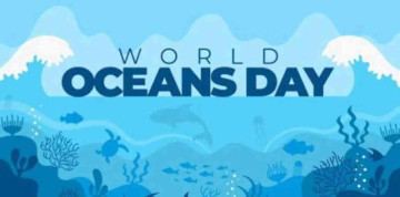 India’s Radhanagar Beach Named World's Second Most Sustainable on World Oceans Day