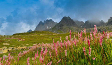 Discover the Majestic Beauty of Nanda Devi and the Valley of Flowers