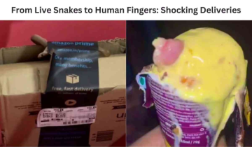 From Live Snakes to Human Fingers: Shocking Deliveries