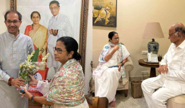 Mamata Banerjee Meet Uddhav Thackeray and Sharad Pawar During Her Visit to Mumbai