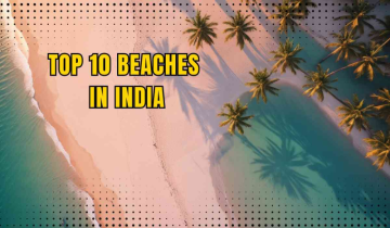 Top 10 Beaches in India: A Paradise for Every Traveler