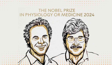 MicroRNAs Explained: The Discovery That Earned Ambros and Ruvkun the 2024 Nobel Prize