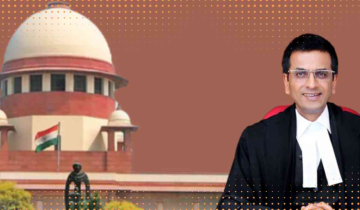 50th CJI DY Chandrachud retirement: Here are some landmark judgements of Mr. Chandrachud during his tenure as a CJI