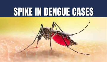 Dengue Surge in Ludhiana: 44 Cases in 6 Days – Here’s How to Stay Safe