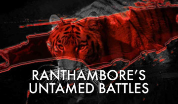 Ranthambore’s Untamed Battles