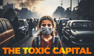 The Toxic Capital