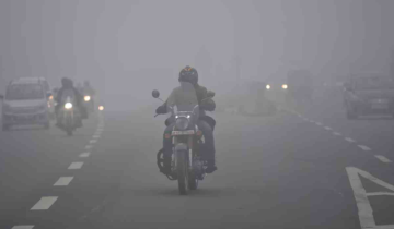 Cold Wave Hits North India, IMD Cautions of Harsh Weather Conditions