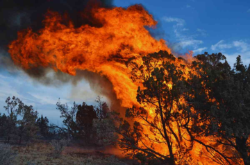 Fast-Moving Fire Erupts Above Altadena, Prompting Urgent Response Amid High Winds