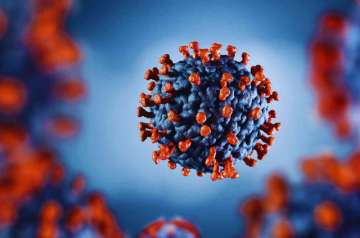 Rising Human Metapneumovirus (HMPV) Cases: Effective Preventive Measures