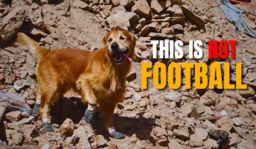 FIFA World Cup or Animal Cruelty? Global Outrage as Morocco Plans to Cull 3 Million Stray Dogs!