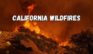 California Wildfires: Hughes Fire Erupts Near Lake Castaic, Evacuations Ordered for 50,000 Residents