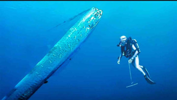 The Rare ‘Doomsday Fish’ Washes Ashore in Mexico, Stirring Superstitions