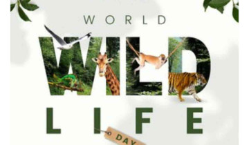 World Wildlife Day 2025: A Call to Safeguard Nature's Wonders