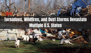 At Least 39 Dead After Tornadoes, Wildfires, and Dust Storms Devastate Multiple U.S. States