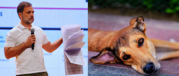 Is the Stray Dogs Controversy a Tactical Diversion from Vote Chori Allegations?