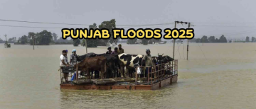 Punjab Floods: 30 dead, Over 3.5 Lakh displaced, 1,400 villages submerged, Red Alert in 8 Districts