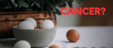 Can Eggs Cause Cancer?