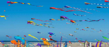 Why do we fly Kites on Makar Sankranti?