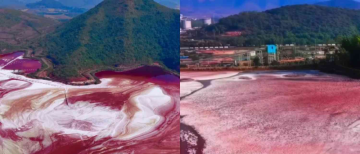 Polluted Water Triggers Health Crisis in Odisha