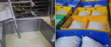 1370 Liters of Detergent and Urea Mixed Milk Destroyed in Gujrat Factory