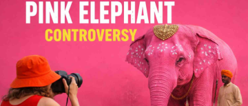 Viral Pink Elephant in Jaipur? The Truth Behind It Will Disturb You