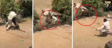 Leopard Attacks MP Village Youth Fights Back Caught Later