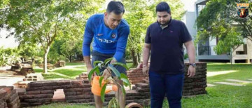 IPL Dot Ball Tree Plantation Real Impact Or Just Claim