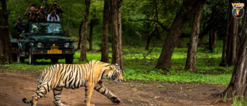 Monsoon Update: Planning a Safari in Madhya Pradesh? Watch this first
