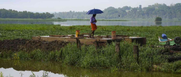 Will El Niño Trigger Food Inflation in India? Experts Warn of a Tough Monsoon Ahead