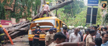 Mumbai Chembur Tree Fall: 1 Student Dead, 5 Injured