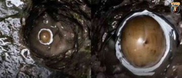 Ancient Shivling Found Underwater at Trimbakeshwar Temple!