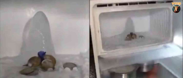 Fridge Turned Temple: Shivling-Shaped Ice Formation in Agra Home Draws Crowds and Viral Debate