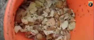 Food Safety Raid in MP's Itarsi: Three Kitchens Sealed After 1,500 Samosas and Rotten Vegetables Seized Near Railway Station