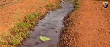 The Mystery of 'Ulta Pani': Why Does Water Flow UPWARDS in Chhattisgarh’s Mainpat?