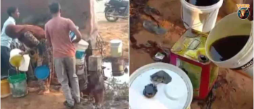 Viral Video: Locals Scramble to Collect Mustard Oil After Tanker Overturns on Rajasthan Highway