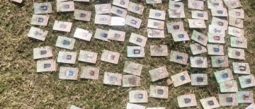 Over 340 Voter ID Cards Found Floating in Narmada River in MP. Where Did They Come From?