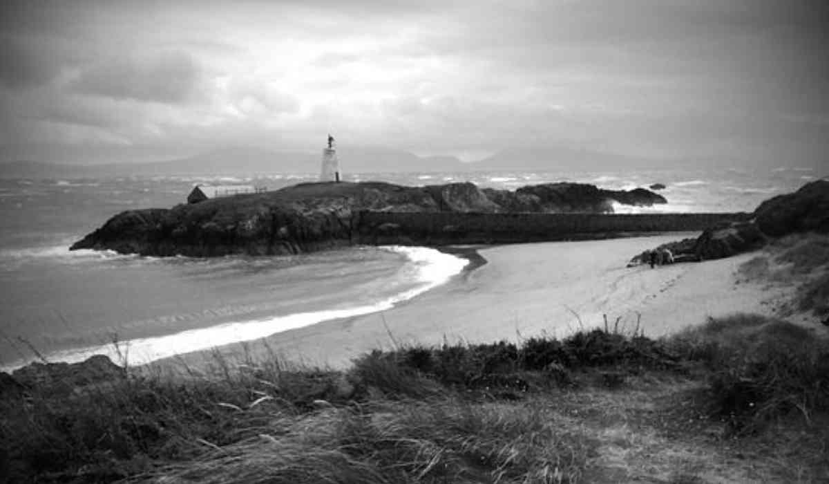 Blog Banner