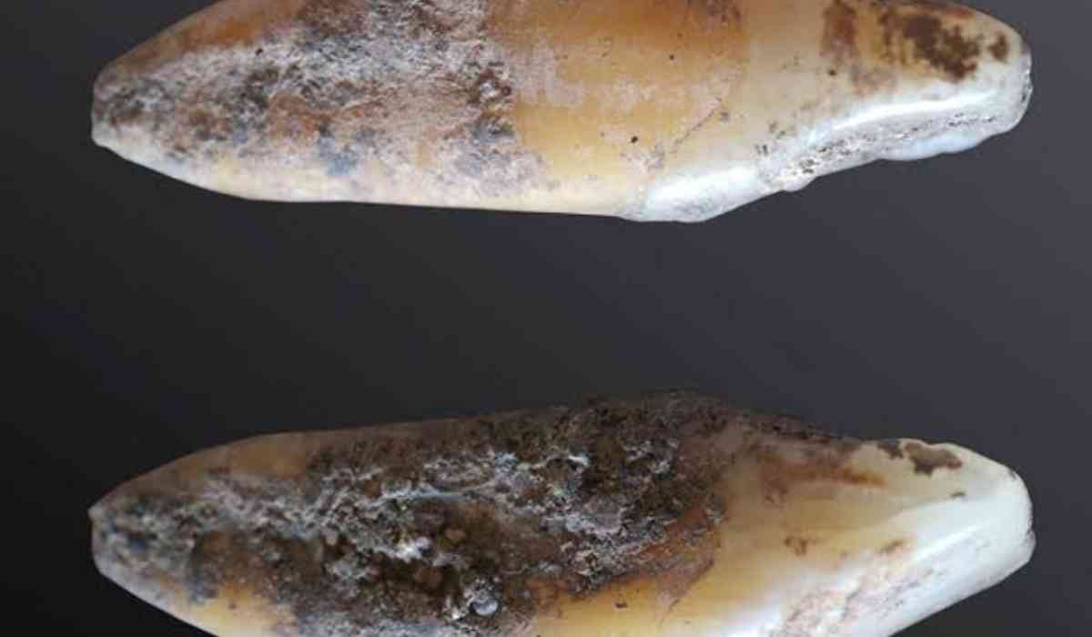 Blog Banner