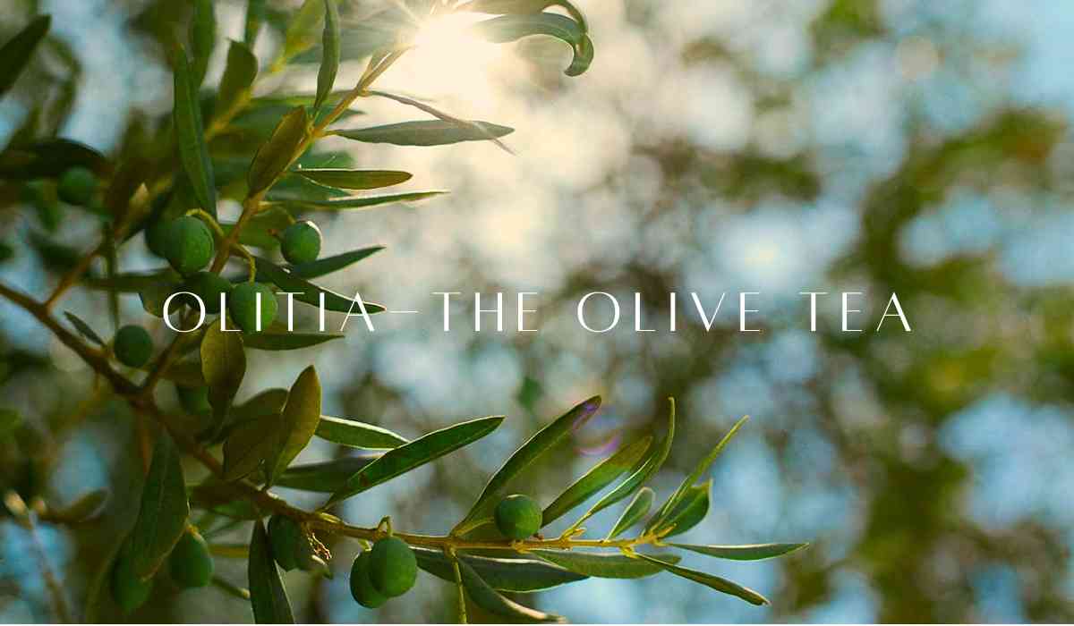 Blog Banner
