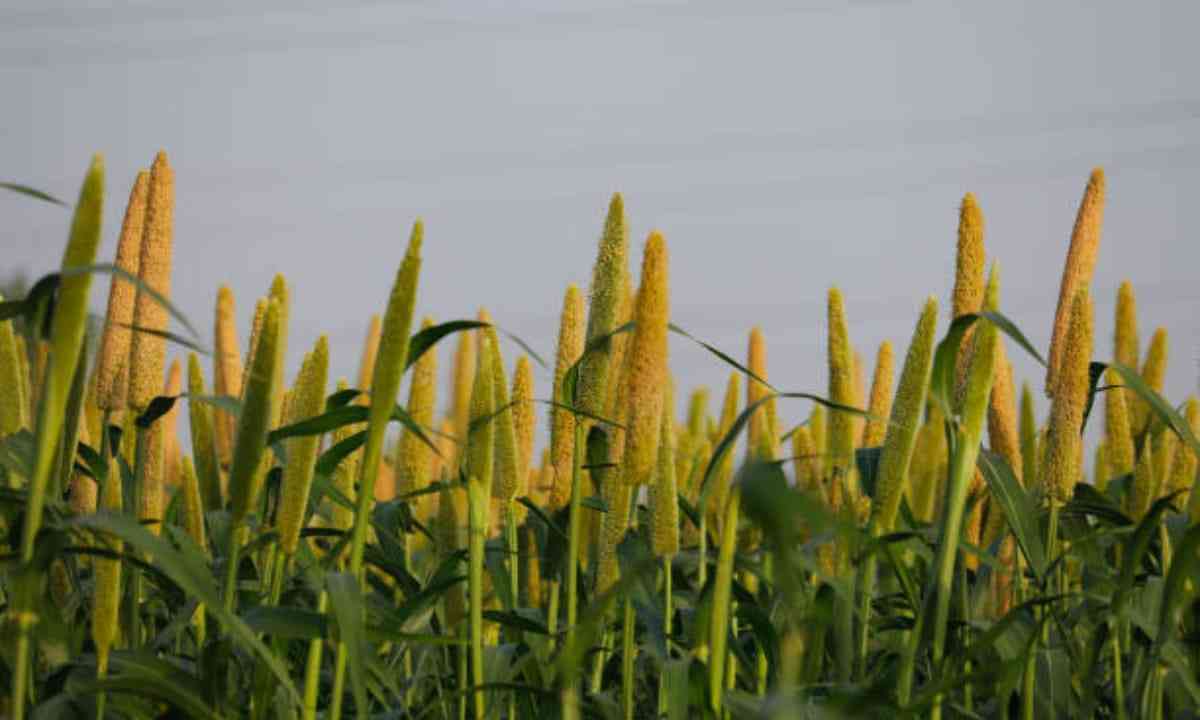 Blog Banner