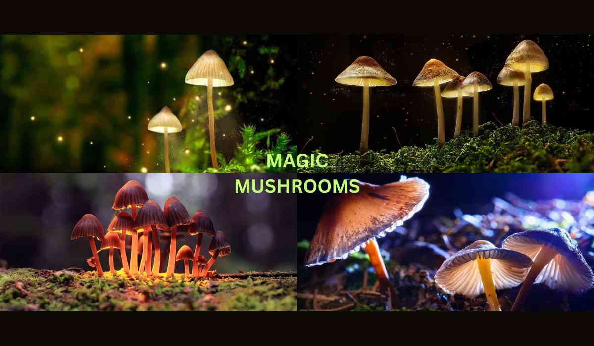 Blog Banner