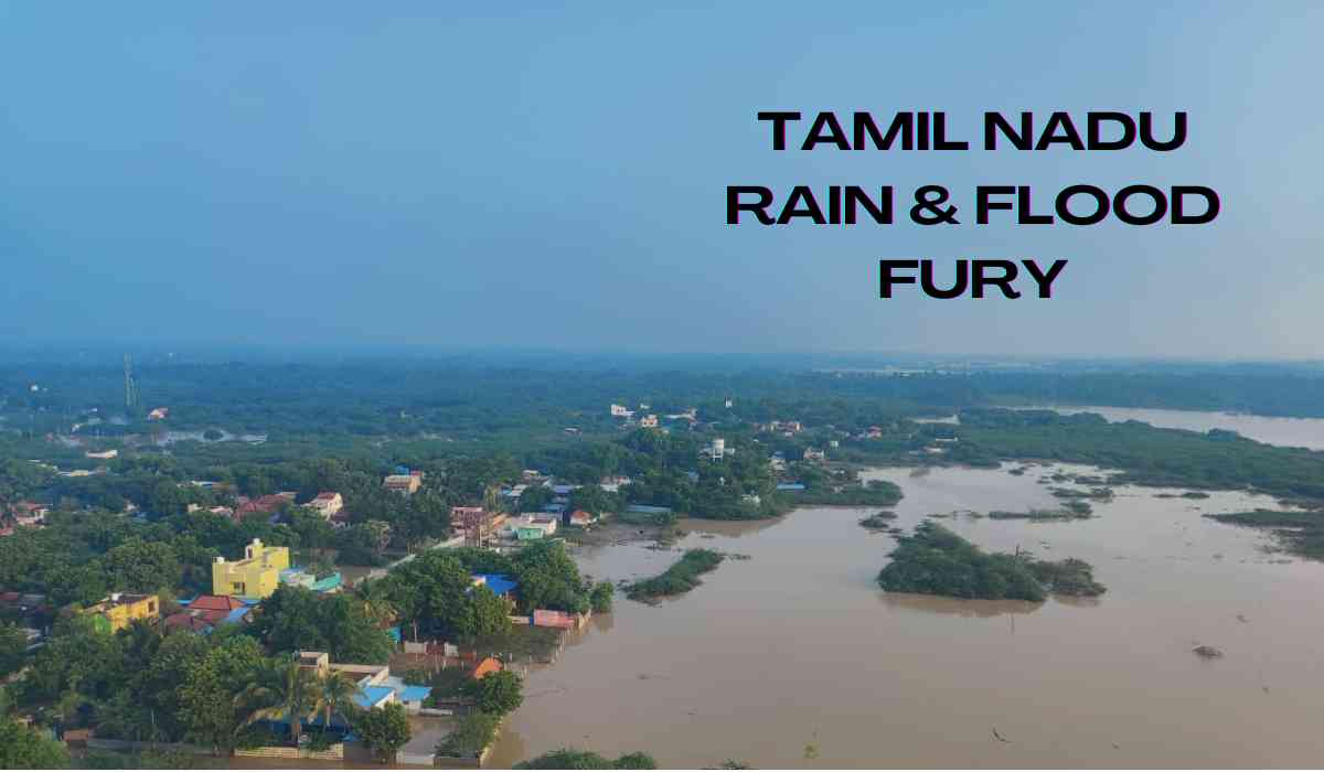 Blog Banner
