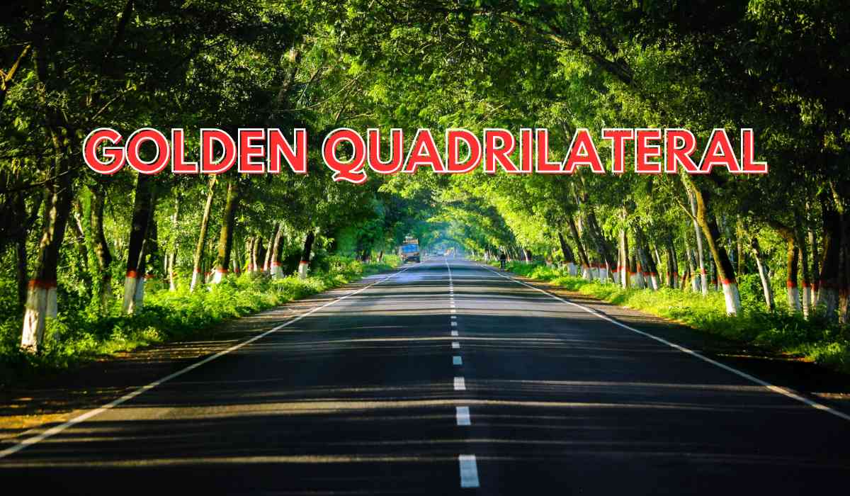 Blog Banner