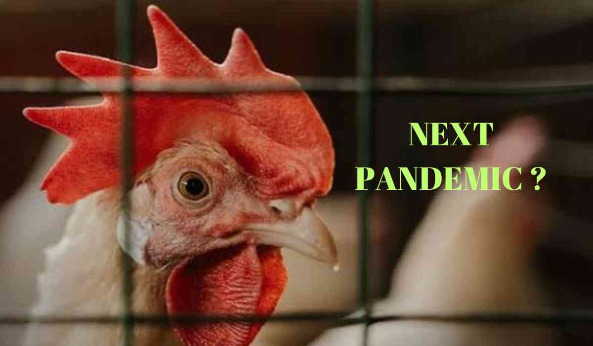 Blog Banner